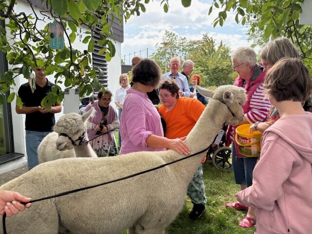 INTENSIVkinder-Niedersachsen-Sommerfest mit Kindern und jungen Erwachsenen mit Behinderung