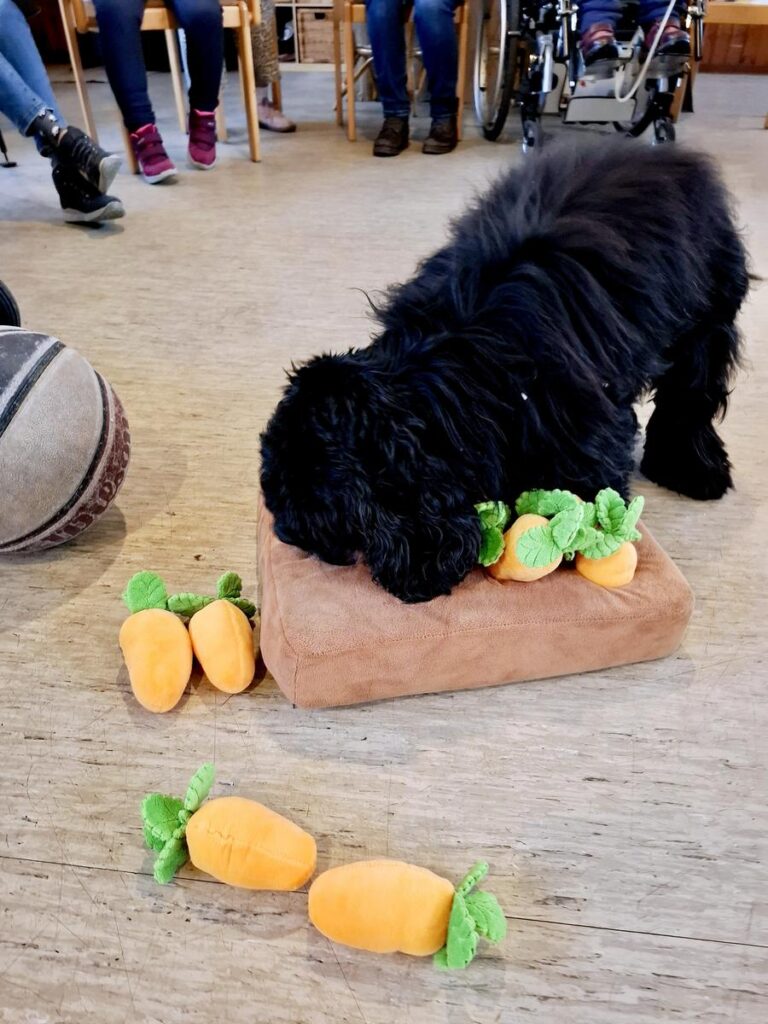 INTENSIVkinder-Niedersachsen Jugendtreff 01_2026