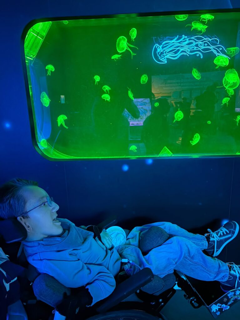 INTENSIVkinder_NDS Sea-Life 9-2026